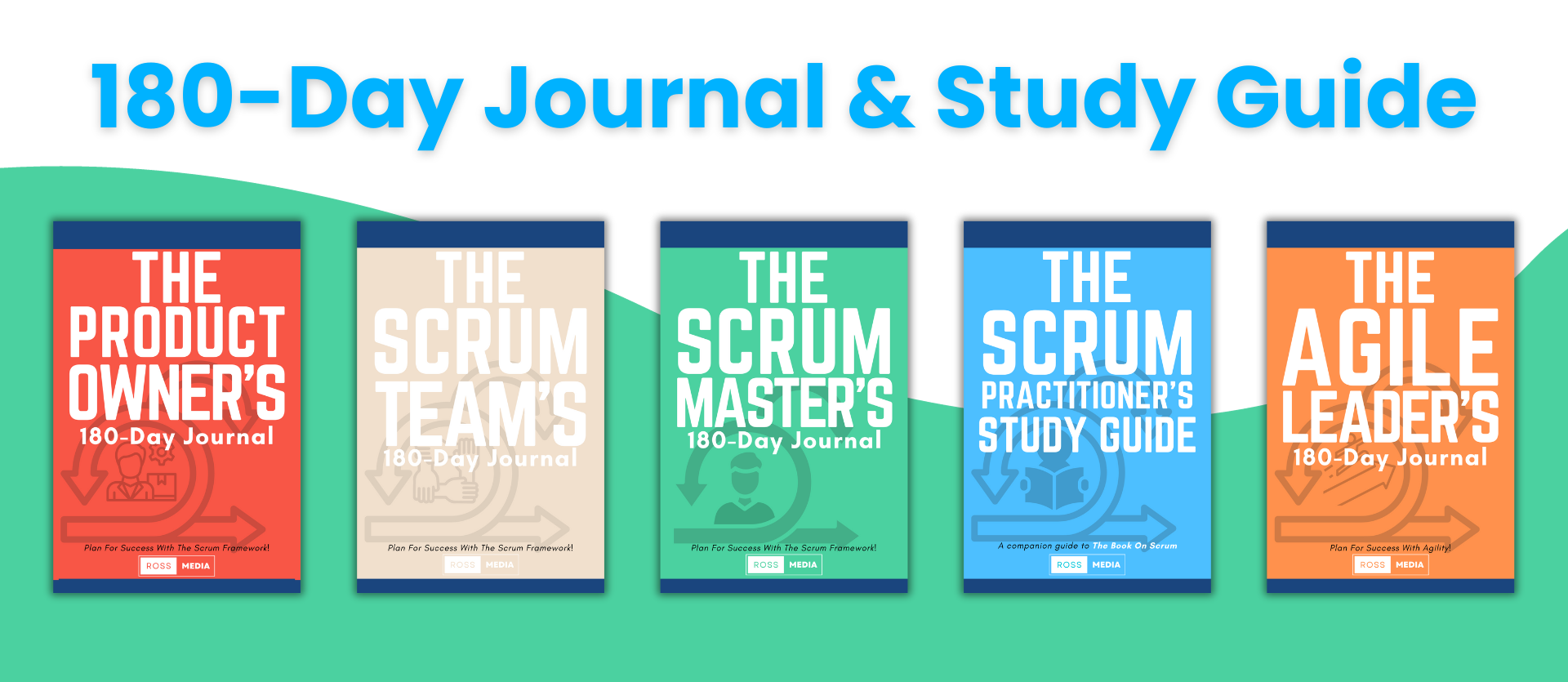 Professional Scrum Master